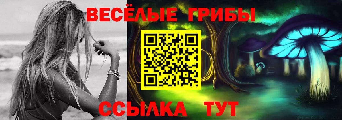 Галлюциногенные грибы мицелий  Вход с VPN  как найти   Димитровград 